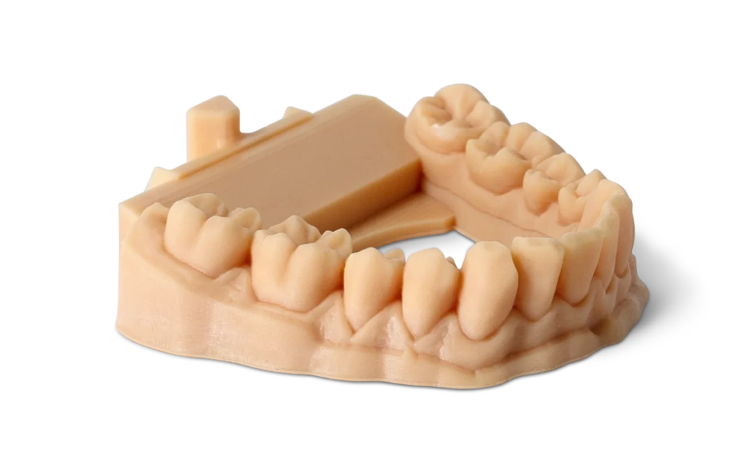 Żywica Stomatologiczna Phrozen Dental Model