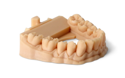 Żywica Stomatologiczna Phrozen Dental Model